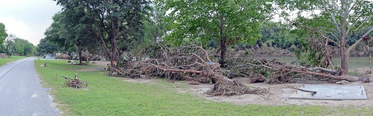 Flood debris along the river