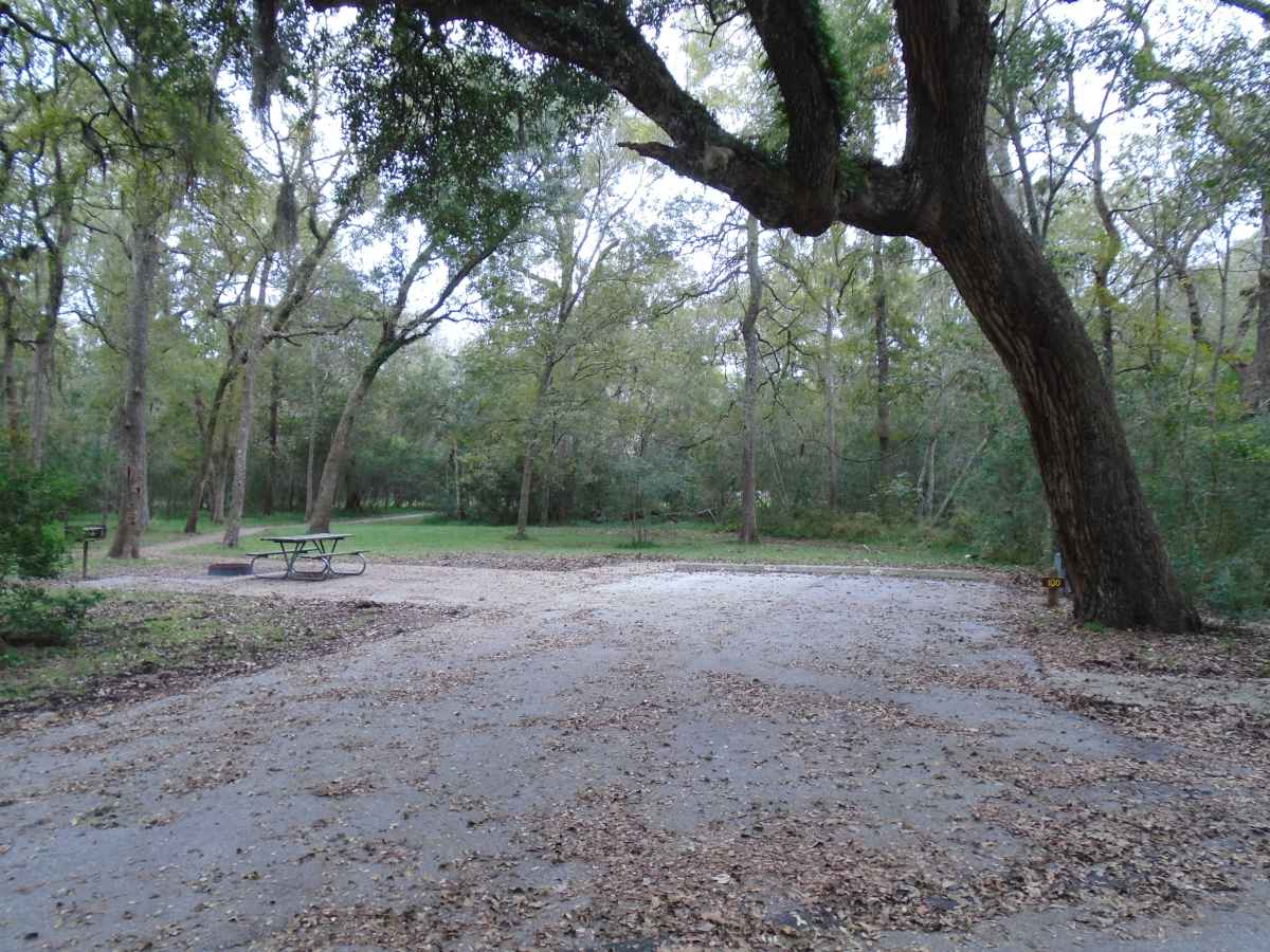 Brazos Bend State Park Map Brazos Bend State Park Campsites With Electricity (Premium) — Texas Parks &  Wildlife Department