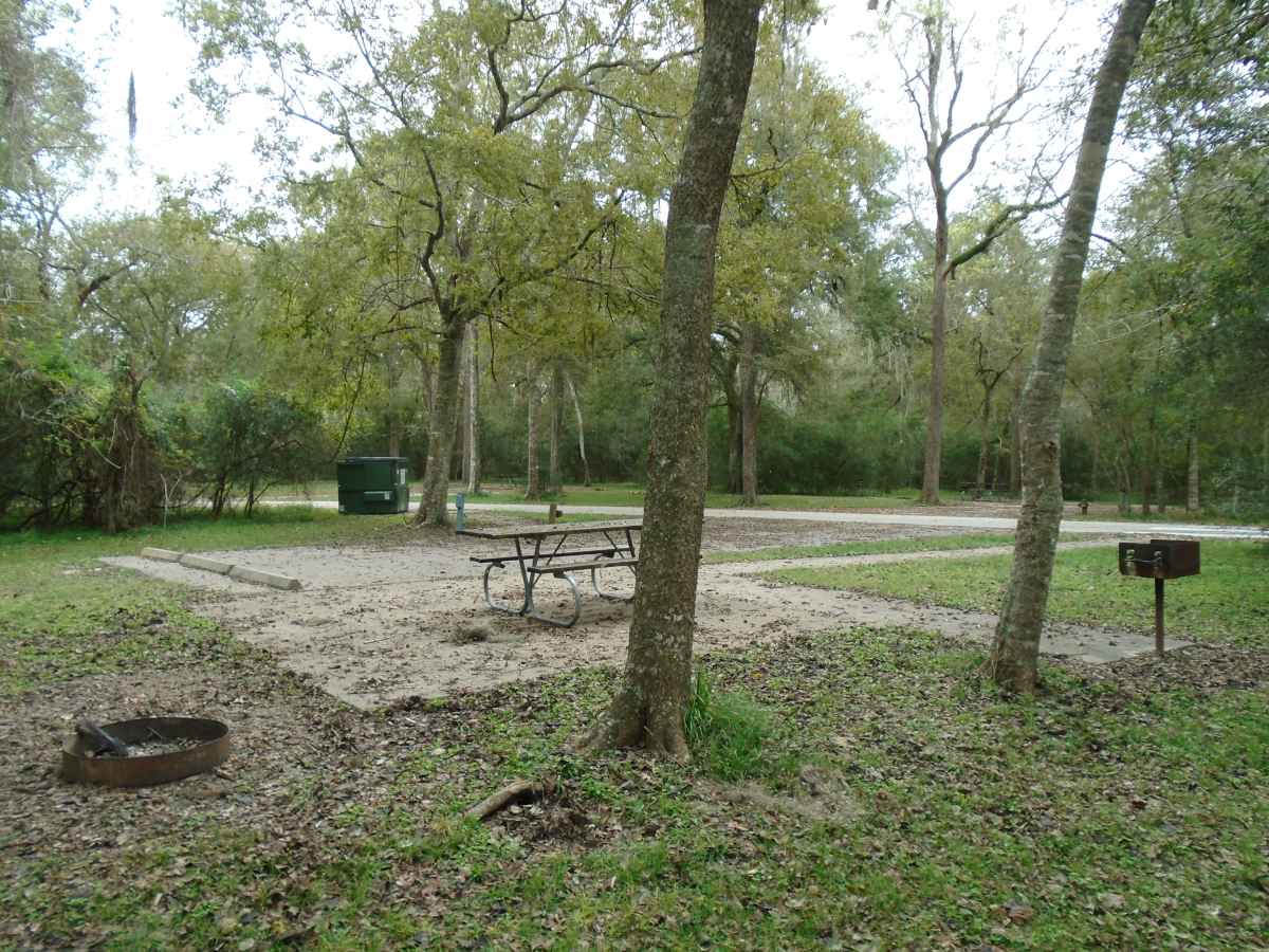 Campsite #102 in the Burr Oak Camping Area.