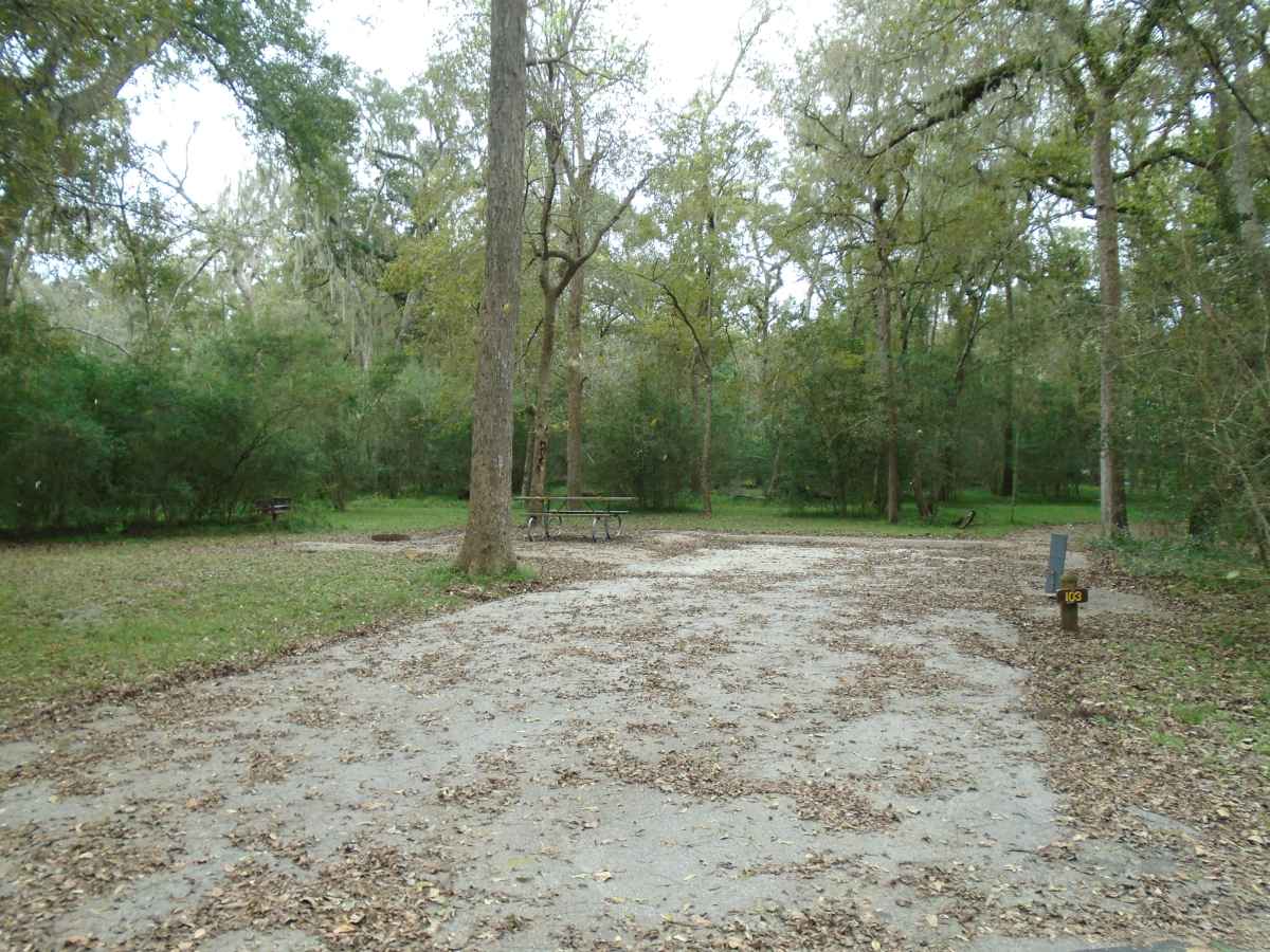 Campsite #103 in the Burr Oak Camping Area.