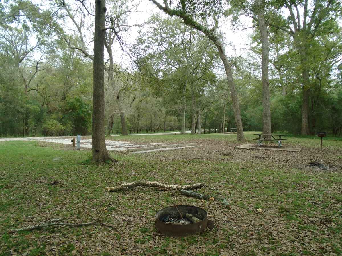 Campsite #104 in the Burr Oak Camping Area.