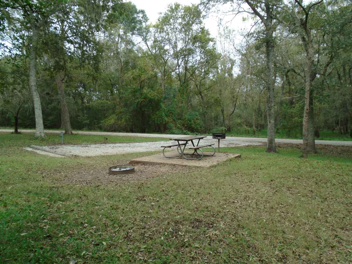Campsite #105 in the Burr Oak Camping Area.