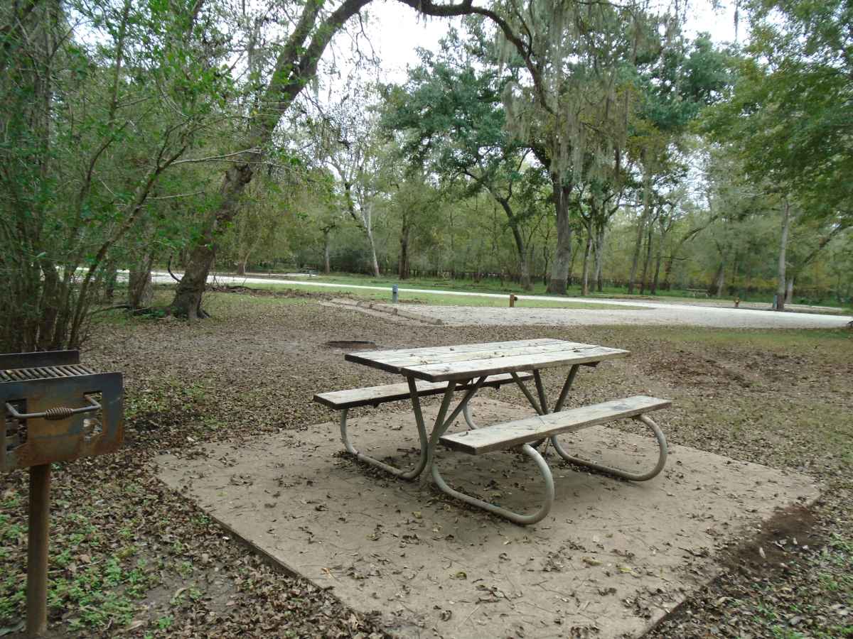 Campsite #120 in the Burr Oak Camping Area.