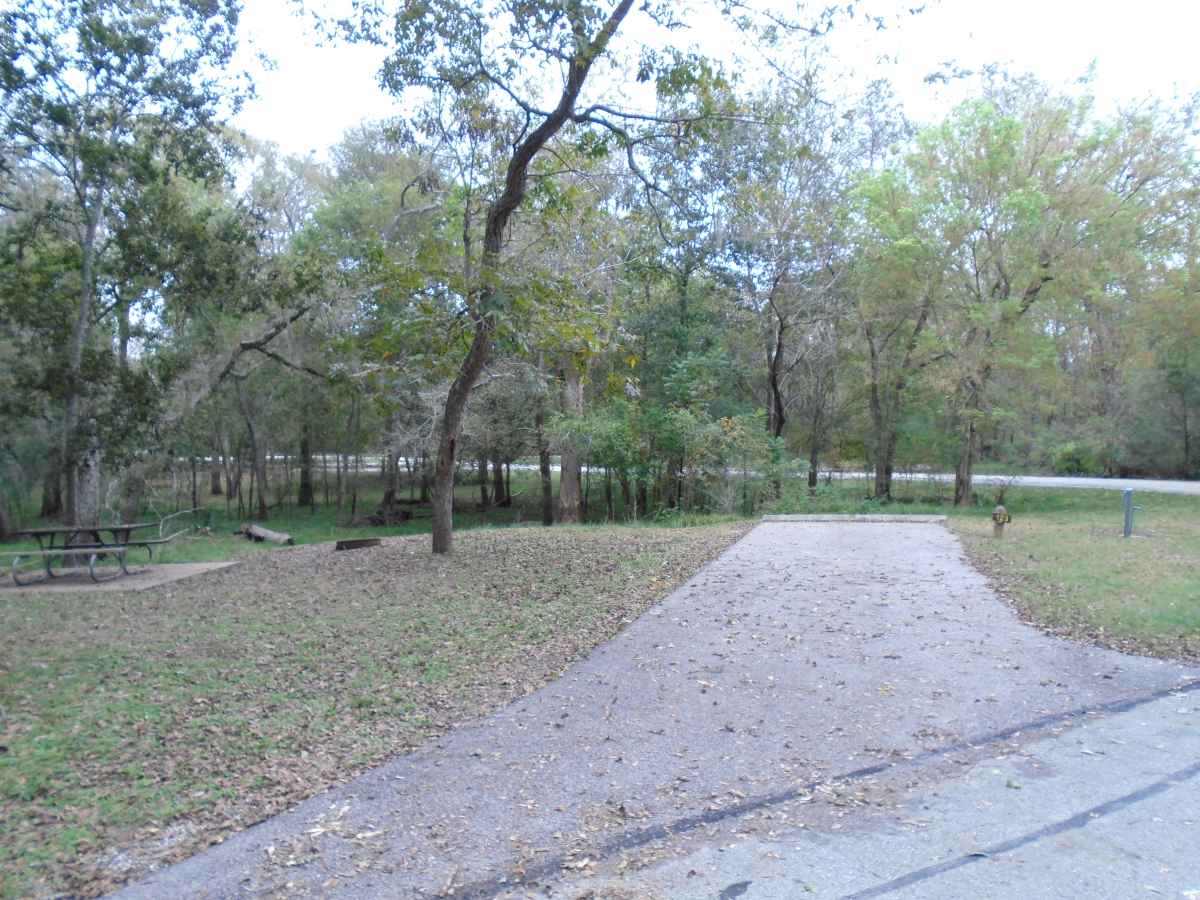 Campsite #123 in the Burr Oak Camping Area.