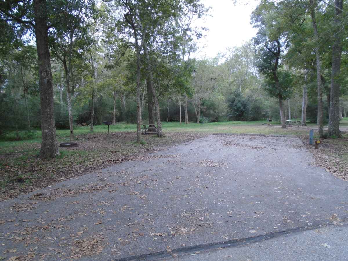 Campsite #125 in the Burr Oak Camping Area.