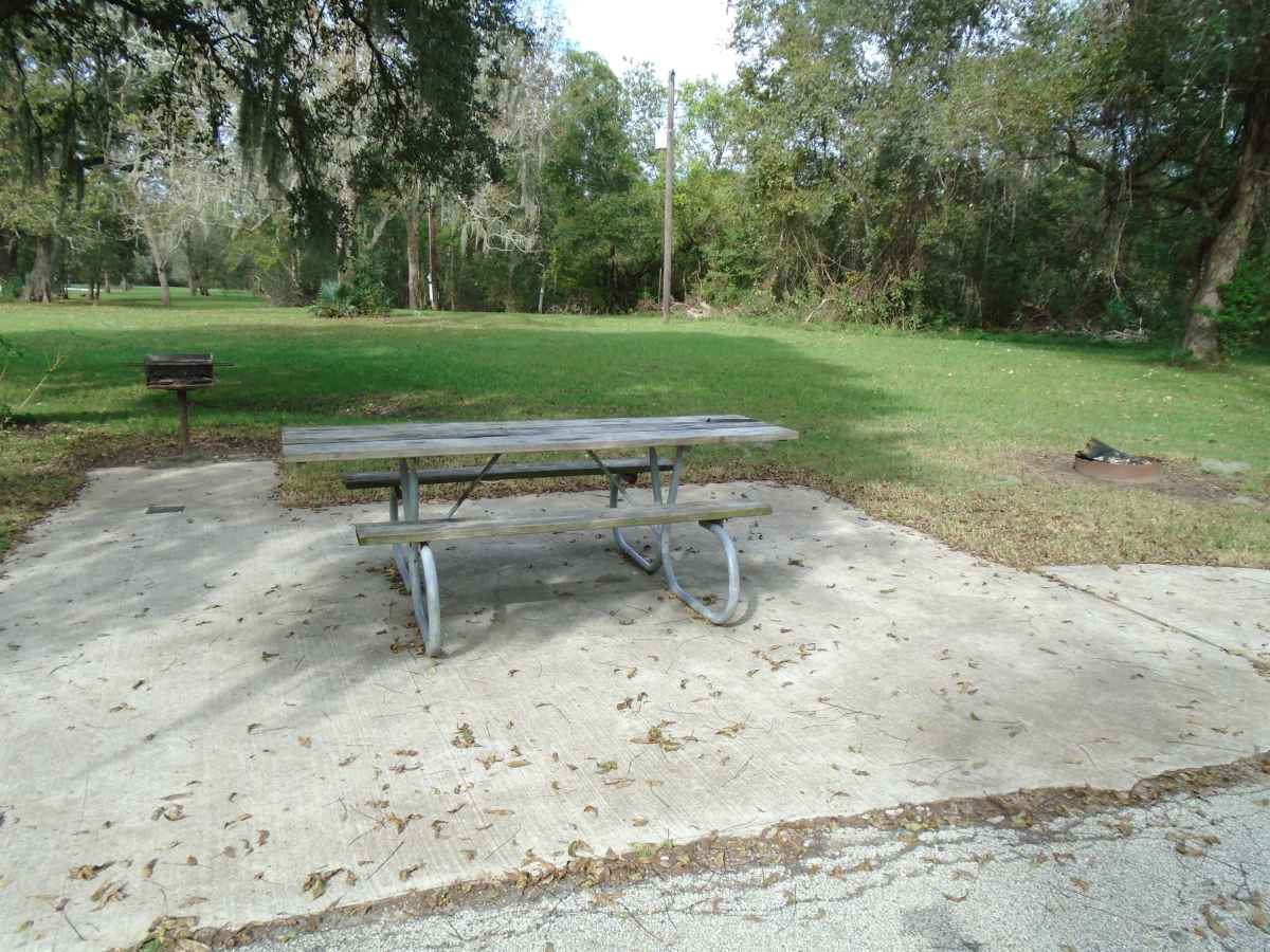 Campsite #201 in the Red Buckeye Camping Area.