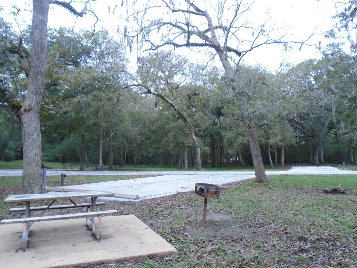 Campsite #206 in the Red Buckeye Camping Area.