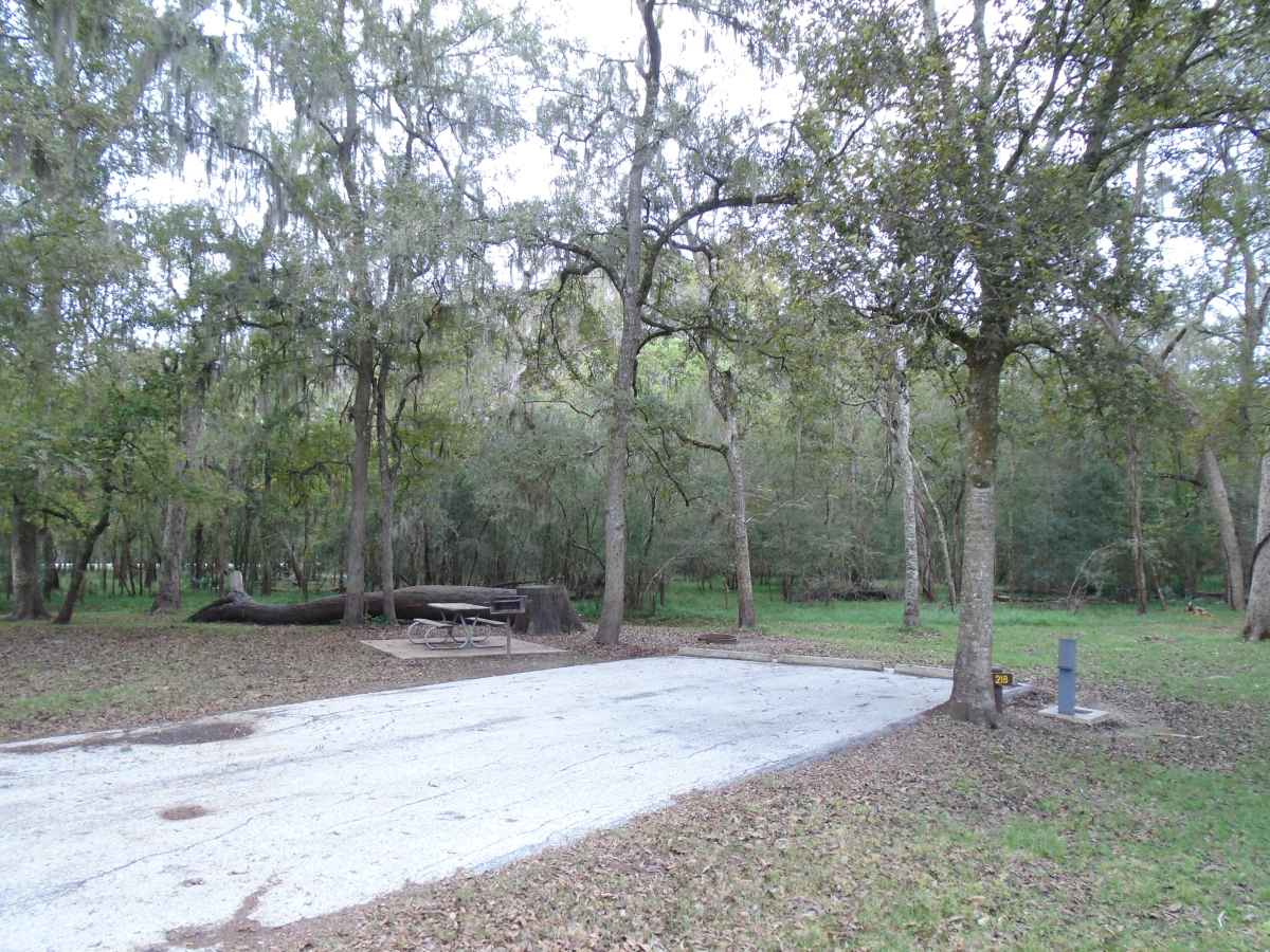 Campsite #218 in the Red Buckeye Camping Area.