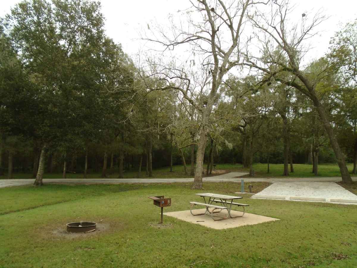 Campsite #226 in the Red Buckeye Camping Area.