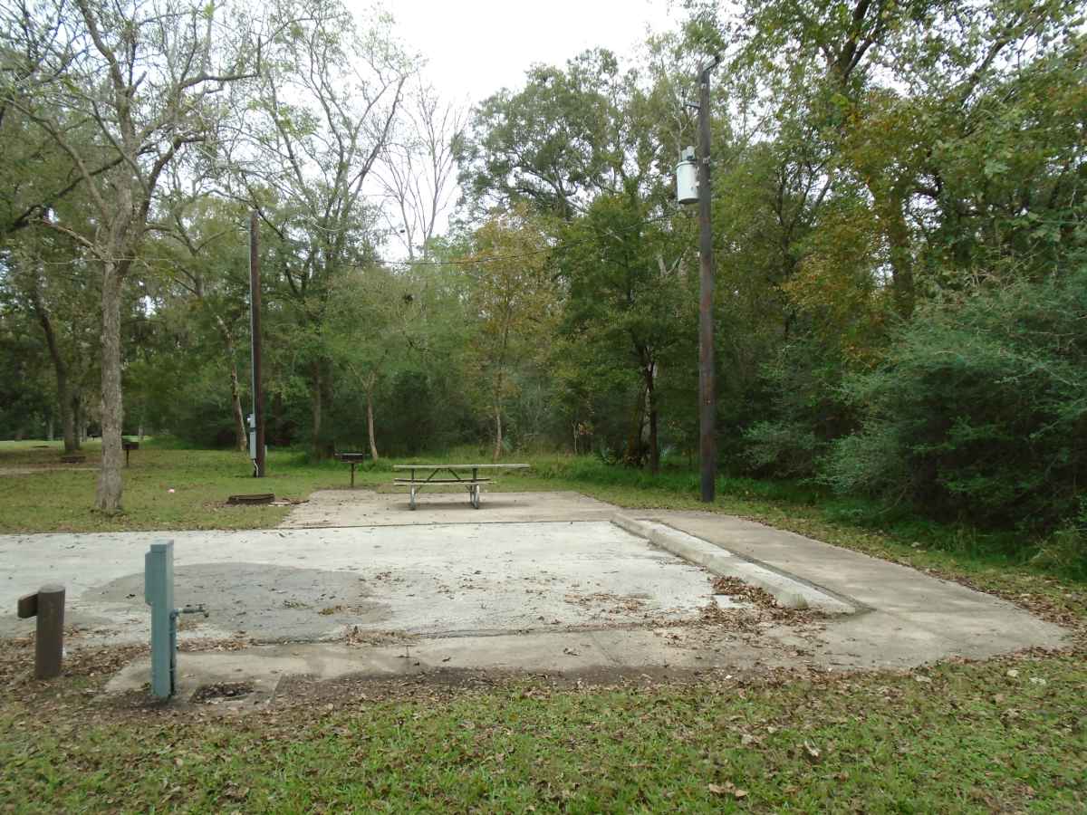 Campsite #233 in the Red Buckeye Camping Area.