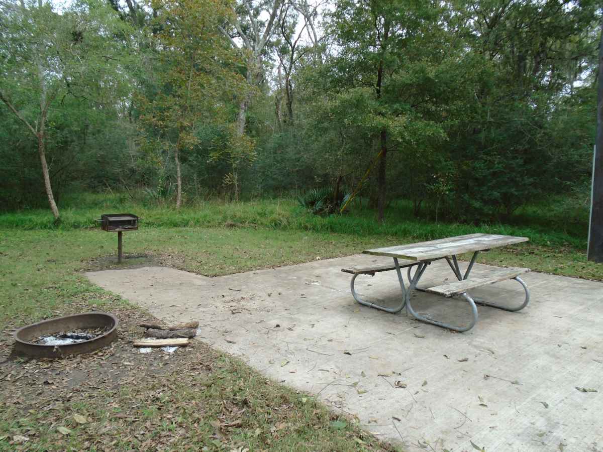 Campsite #233 in the Red Buckeye Camping Area.