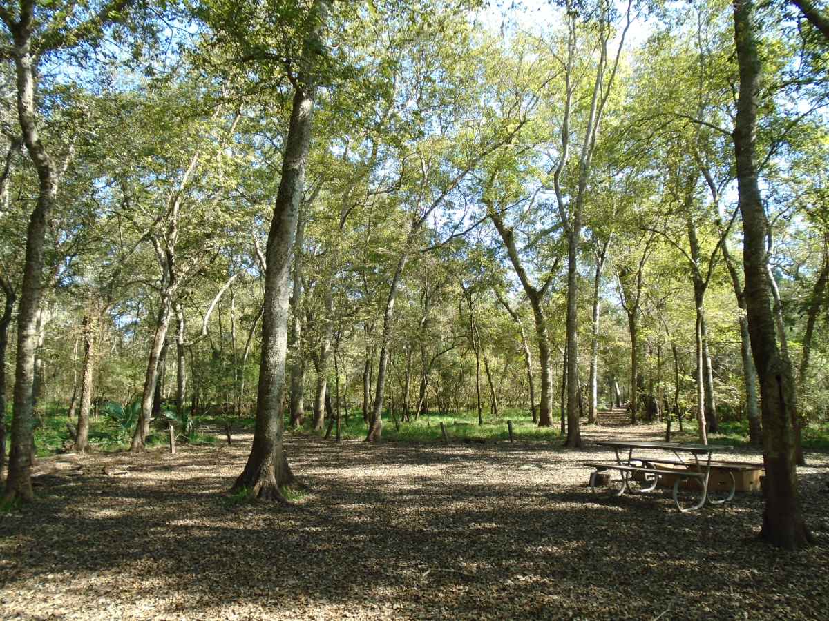 The 16-person capacity Youth Group Camping Area. 