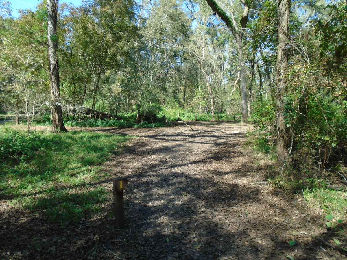 Site #1 of the two Youth Group Camping Areas (32-person) 