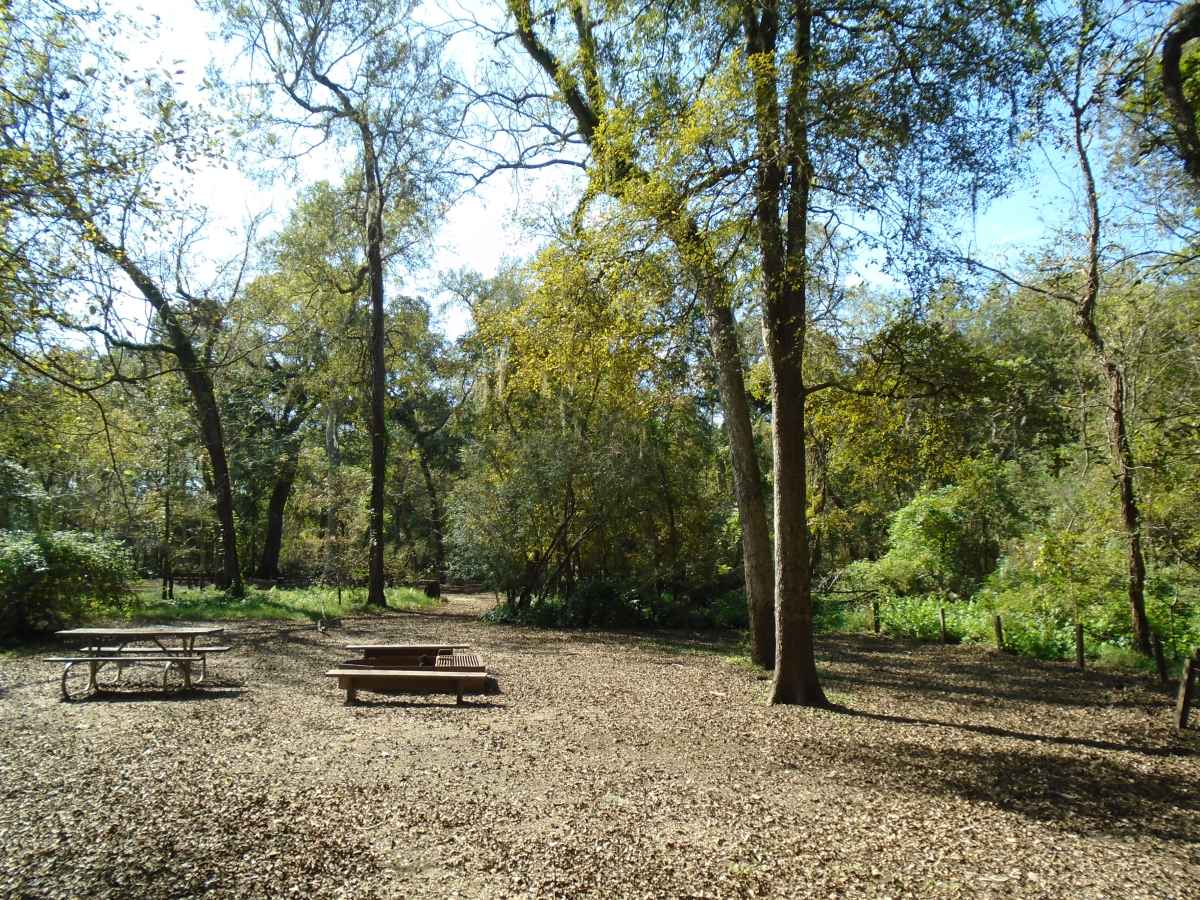 Site #1 of the two Youth Group Camping Areas (32-person) 