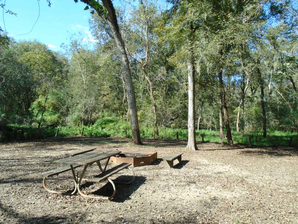 Site #1 of the two Youth Group Camping Areas (32-person) 