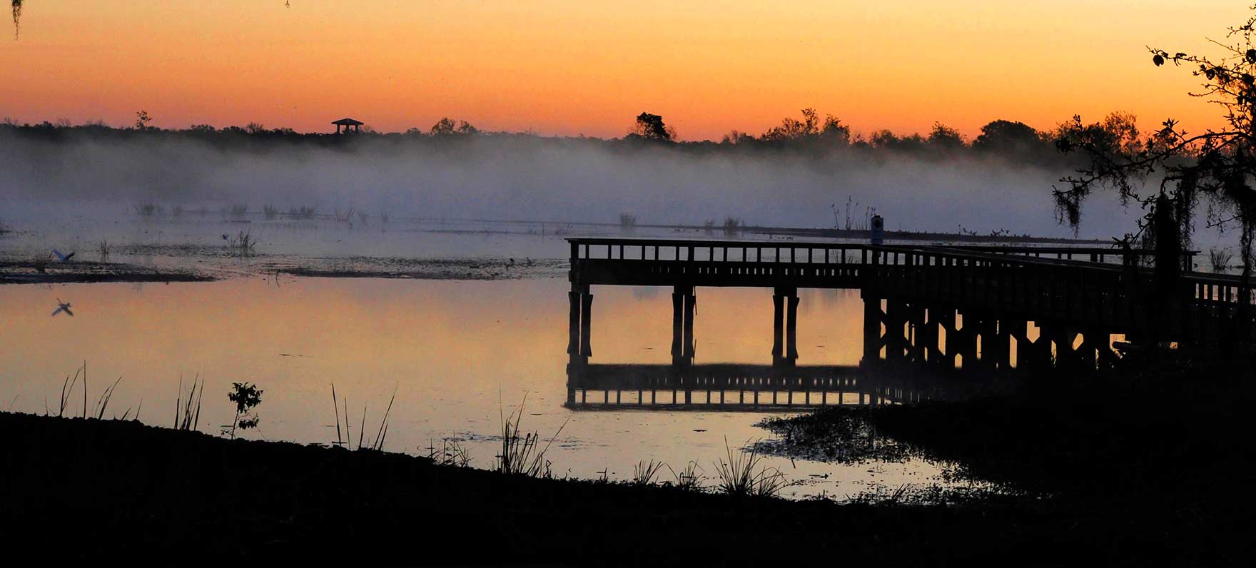 credit: Texas Parks & Wildlife