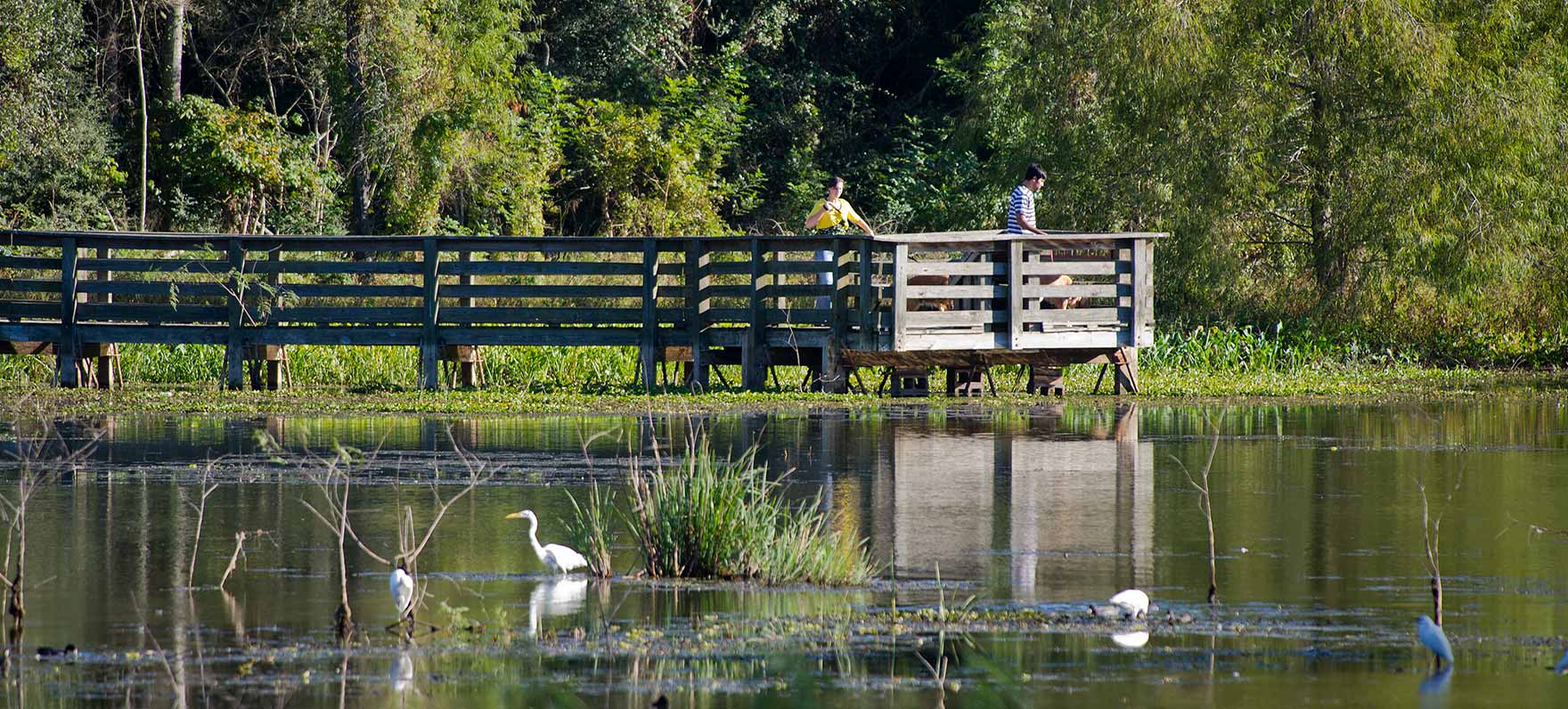 10 Houston Parks to Visit