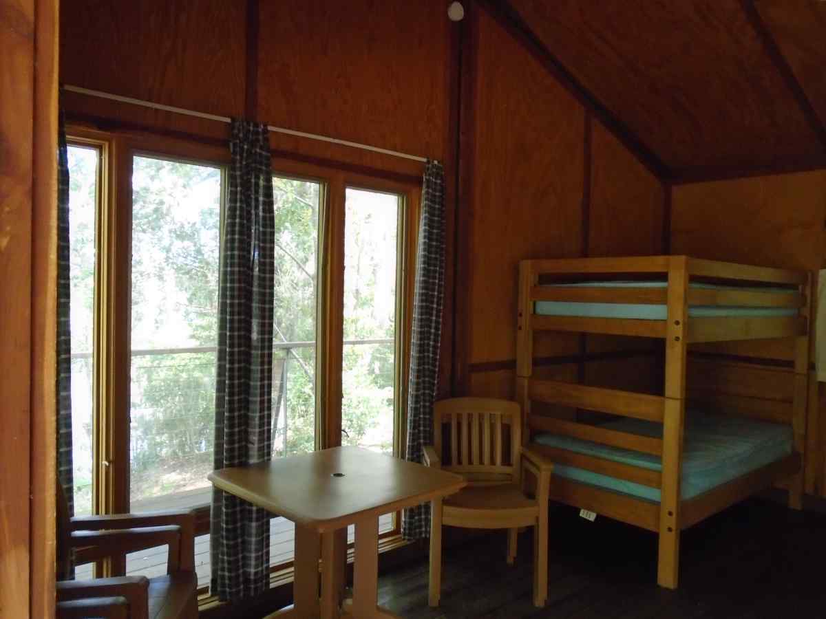 Cabin 3