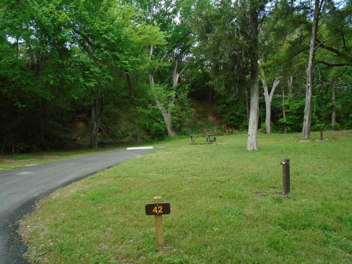 Campsite #42 in the Lakeview Camping Area.