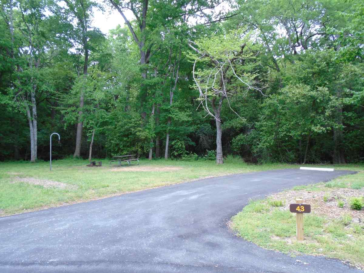 Campsite #43 in the Lakeview Camping Area.