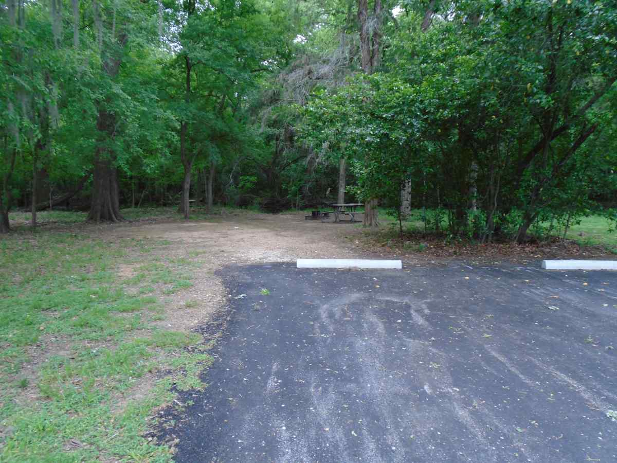Campsite #44 in the Lakeview Camping Area.