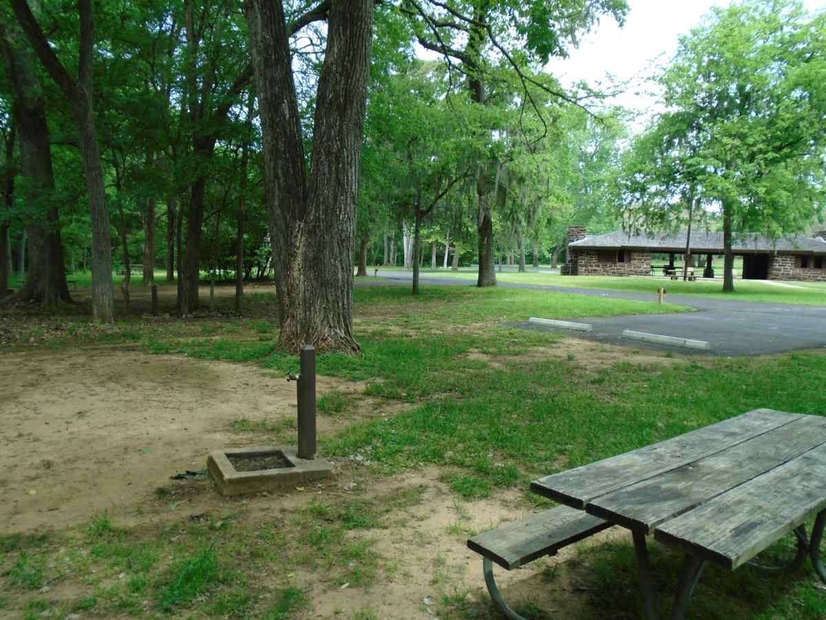 Campsite 45 in the Lakeview Camping Area.