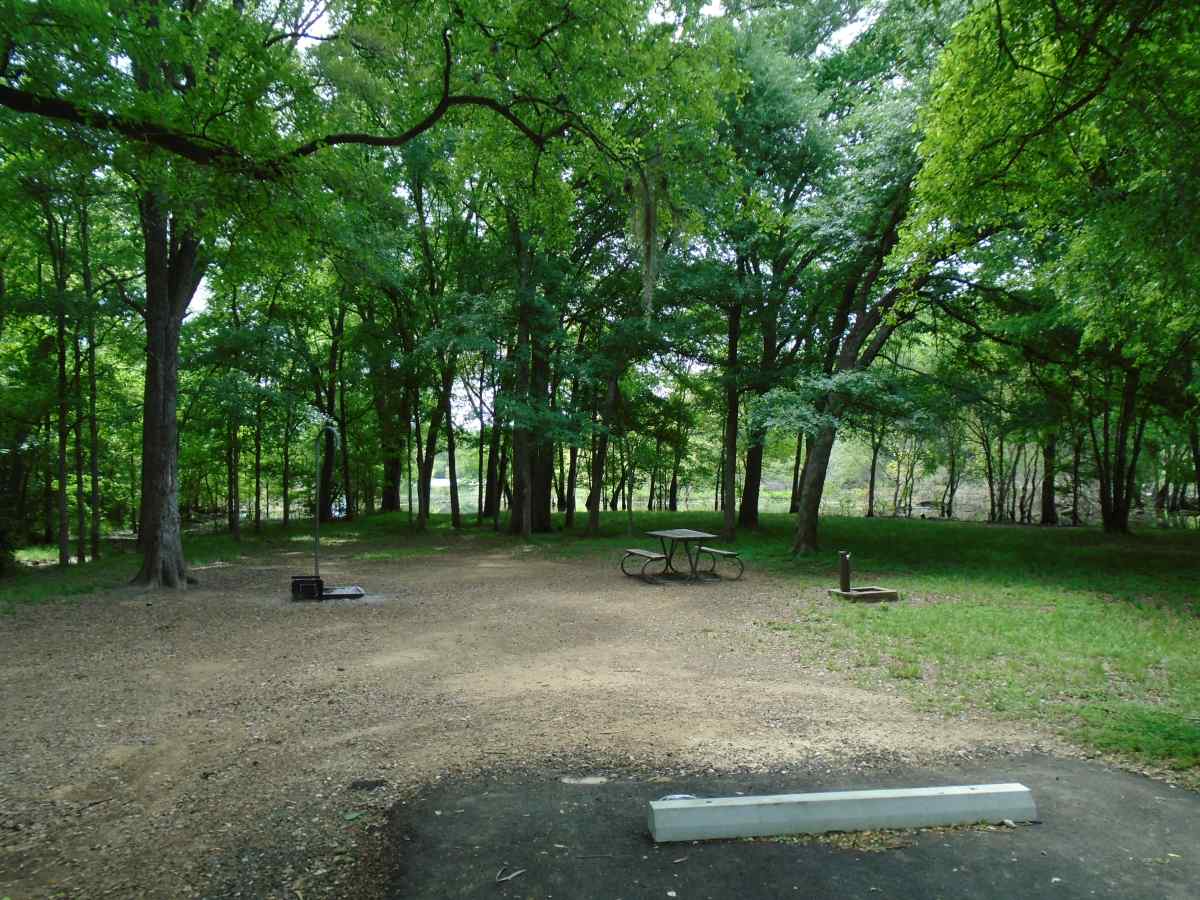 Campsite 48 in the Lakeview Camping Area.