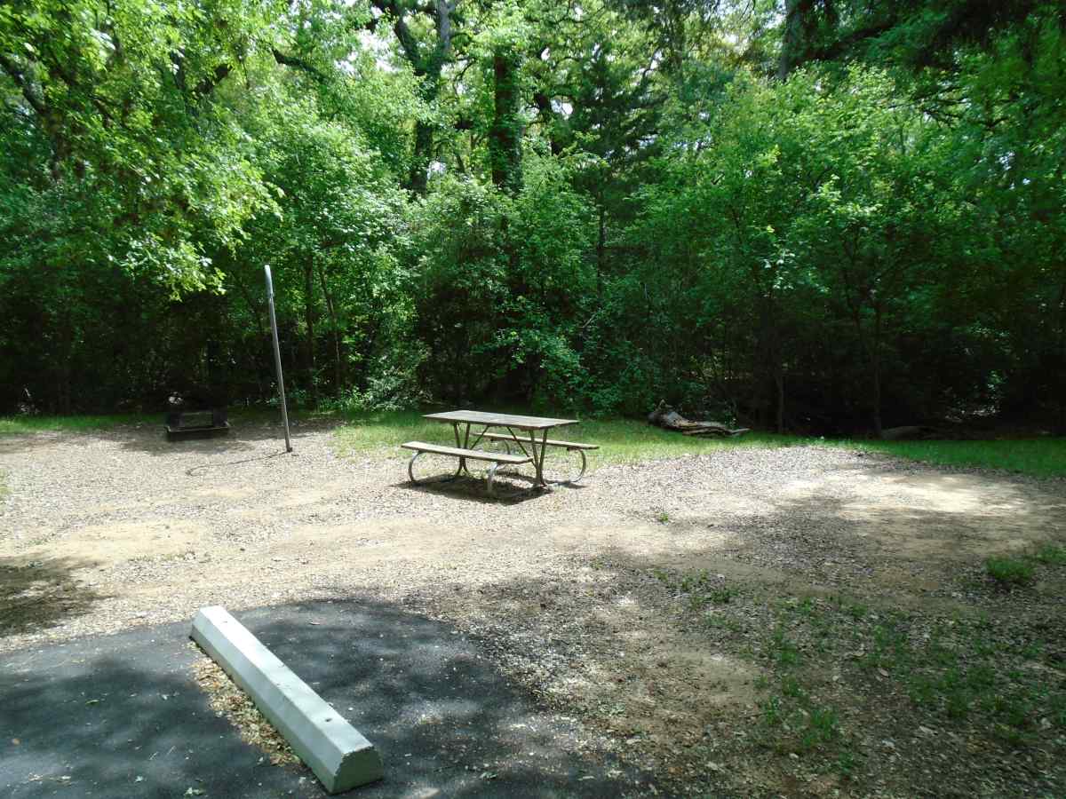 Campsite 49 in the Lakeview Camping Area.