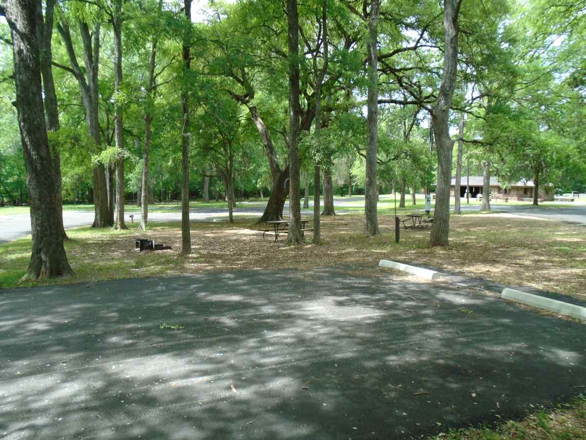 Campsite 51 in the Lakeview Camping Area.