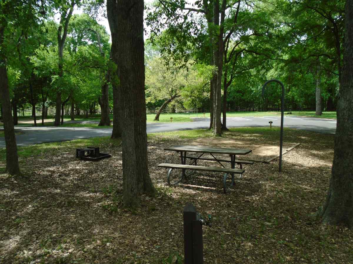Campsite 51 in the Lakeview Camping Area.