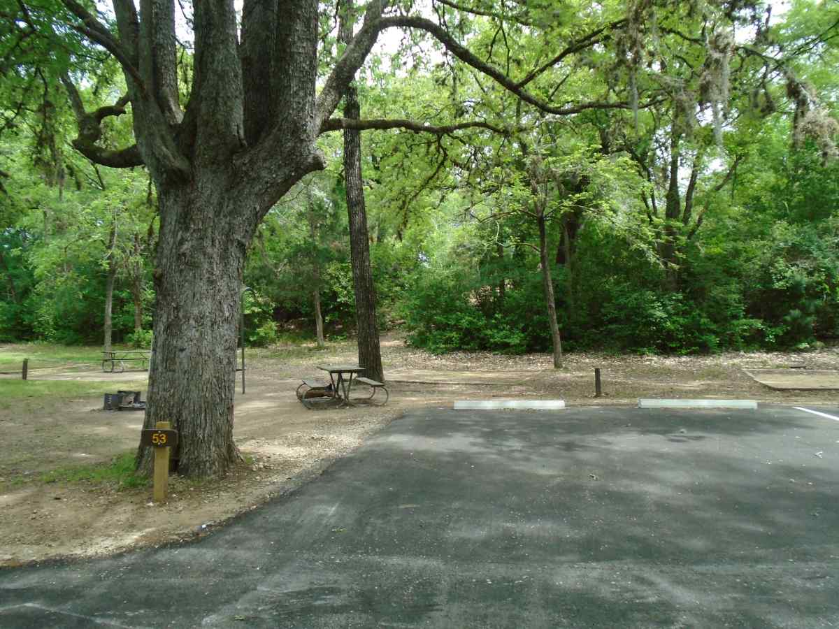 Campsite 53 in the Lakeview Camping Area.