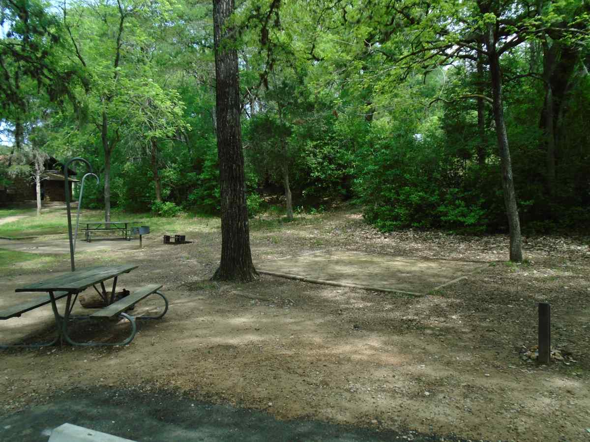 Buescher State Park Campsites with Water — Texas Parks ...