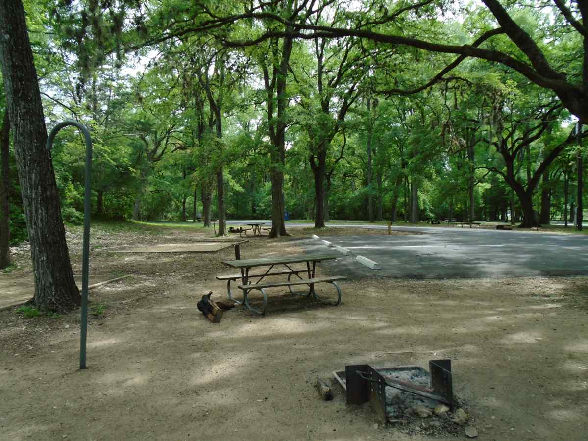 Campsite 53 in the Lakeview Camping Area.