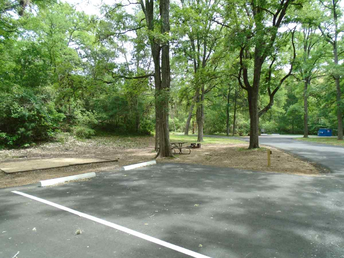 Campsite 54 in the Lakeview Camping Area.