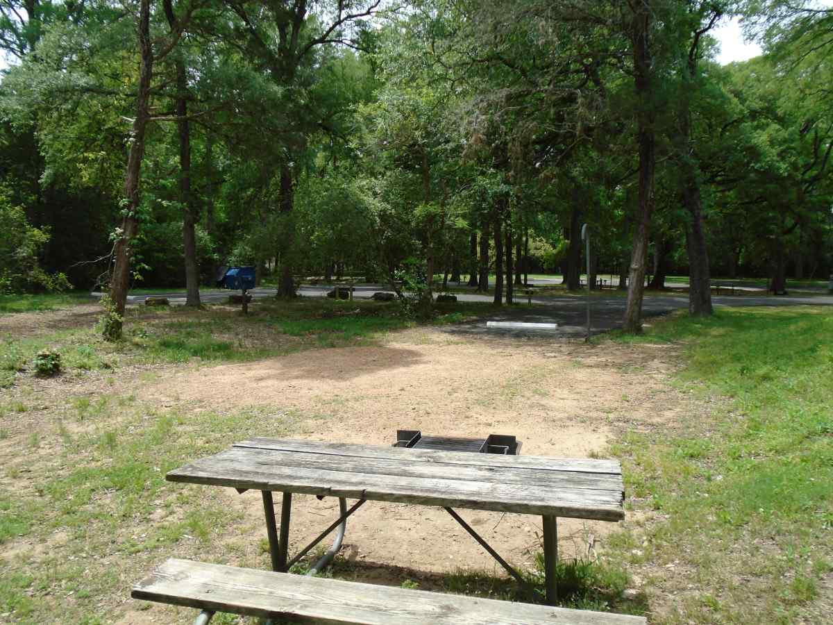 Campsite 55 in the Lakeview Camping Area.