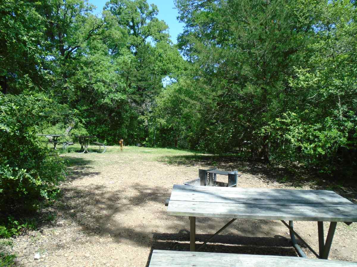 Buescher State Park Primitive Campsites Walk In Texas Parks