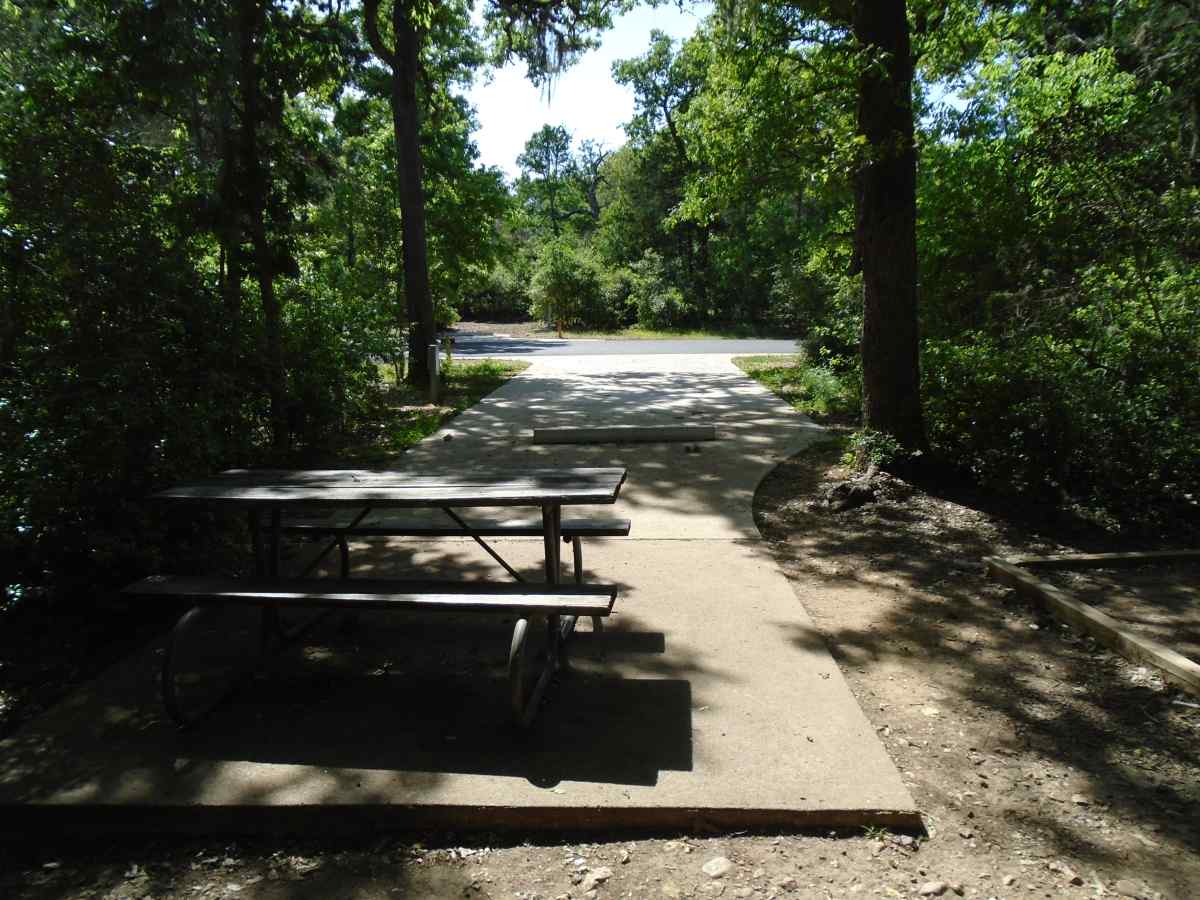 Campsite #20 in the Oak Haven Camping Area.