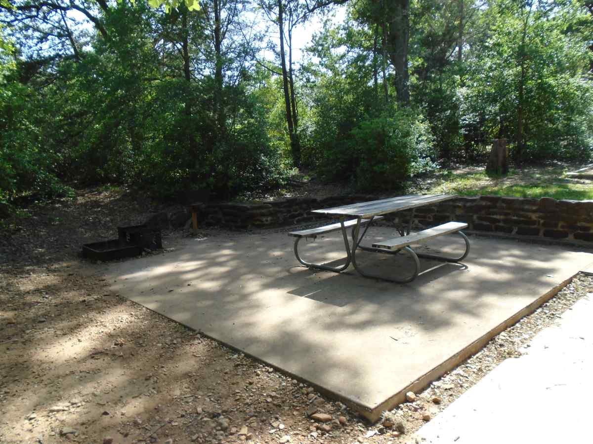 Campsite #31 in the Oak Haven Camping Area is designed to be wheelchair friendly although it is not fully accessible. 