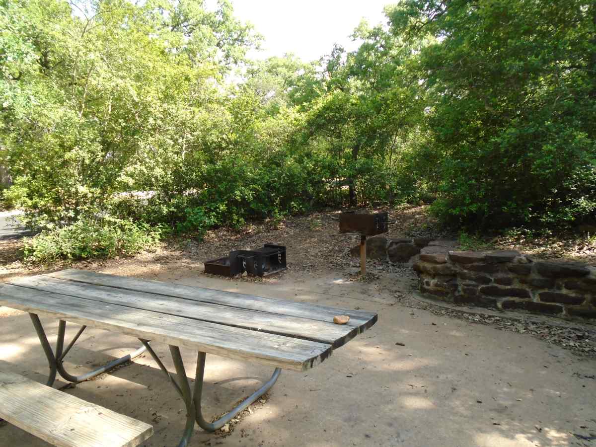 Campsite #31 in the Oak Haven Camping Area is designed to be wheelchair friendly although it is not fully accessible. 