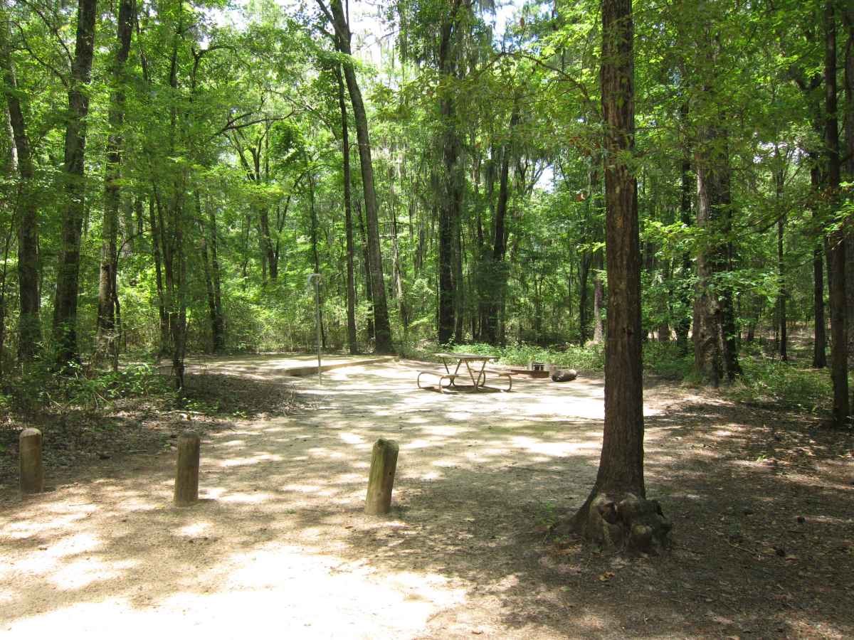 Basic Campsite 60 in the Mill Pond Camping Area. 