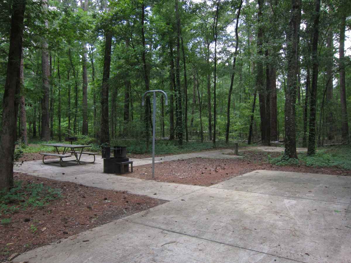 Basic Campsite 49 is wheelchair friendly.