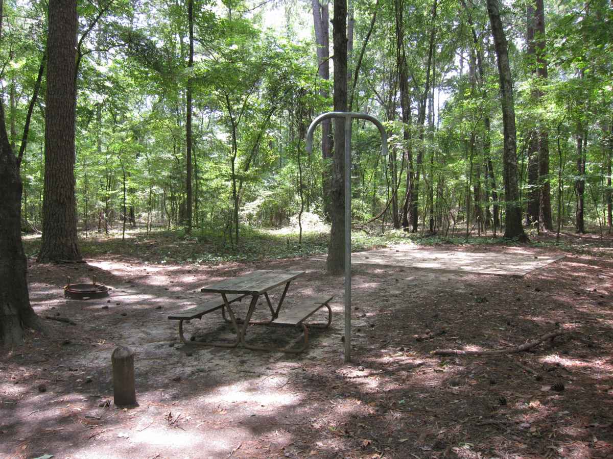 Caddo Lake State Park Campsites with Water — Texas Parks ...