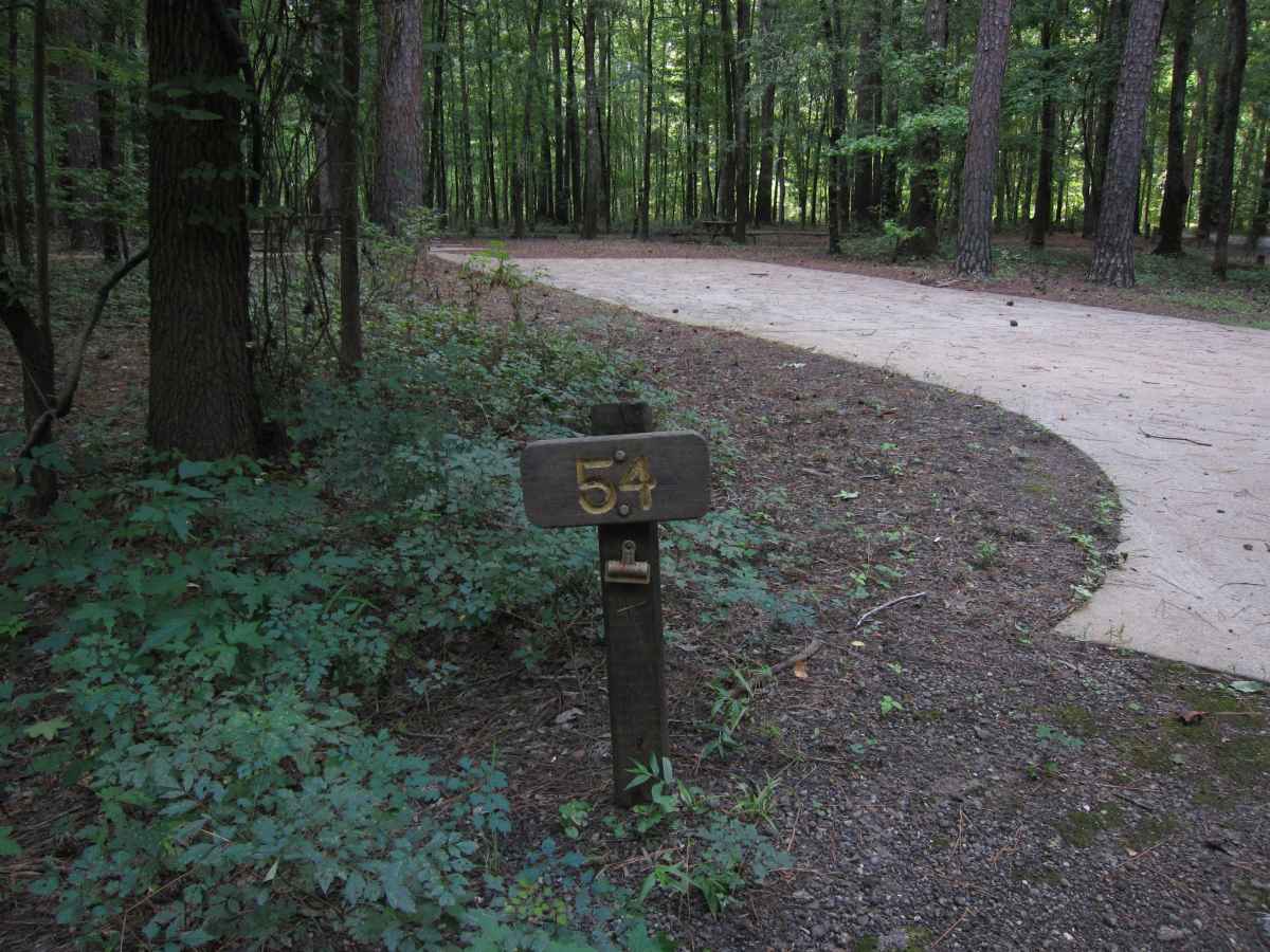 Campsite 54 is designed to be wheelchair friendly.