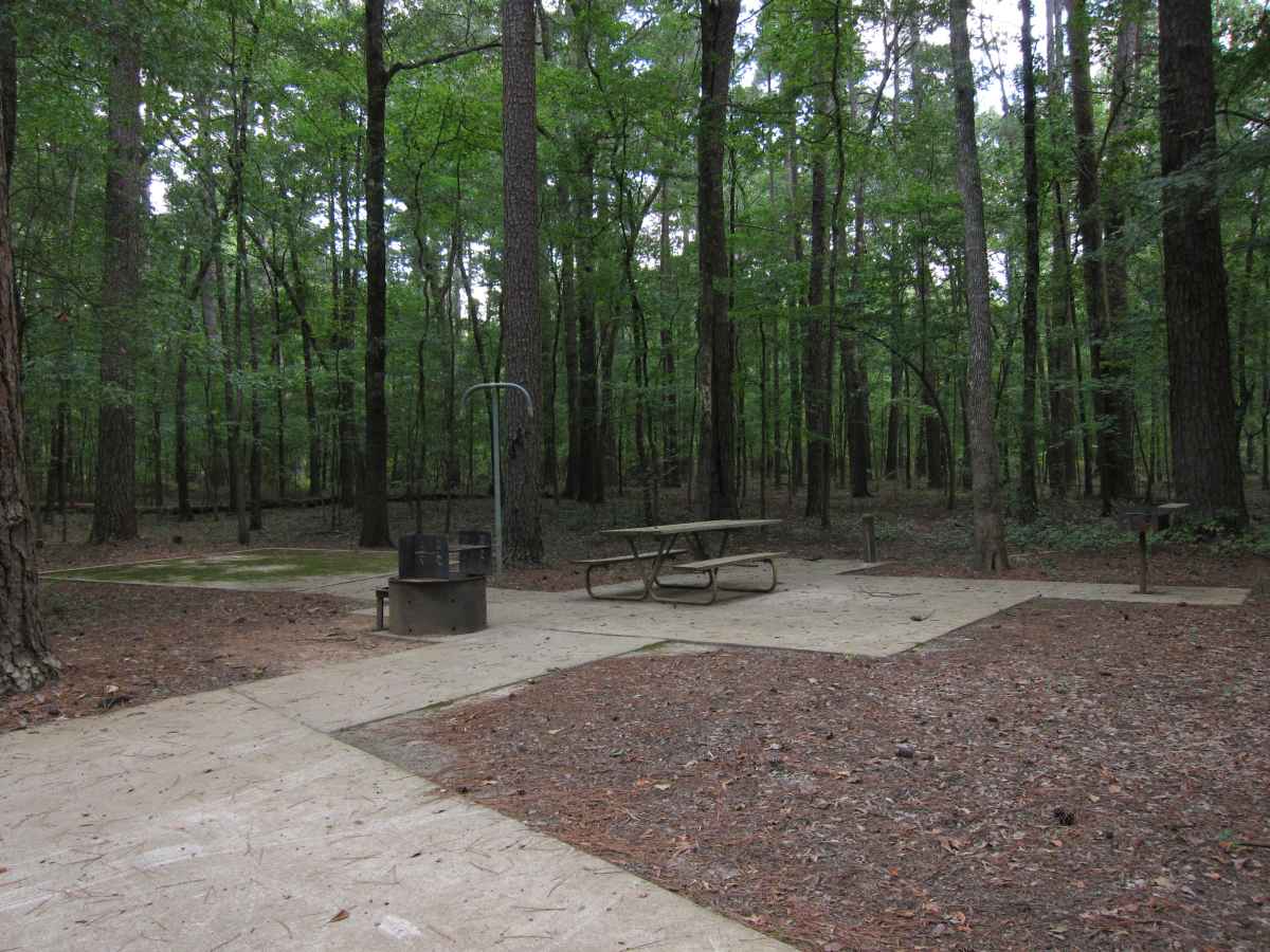  Campsite 54 has a fire ring, picnic table, paved pathway, and an upright grill designed to be usable by people in wheelchairs. 