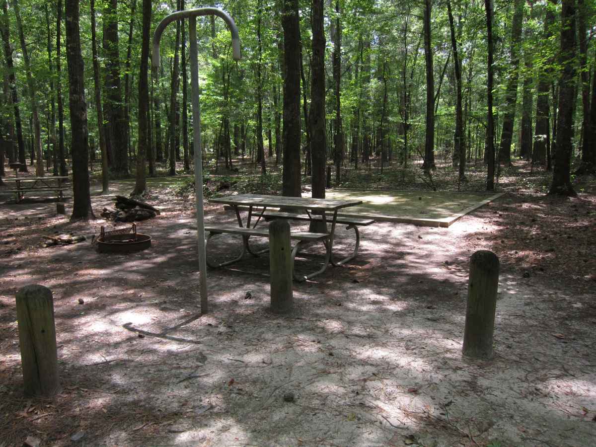 Basic Campsite 56 in the Mill Pond Camping Area.