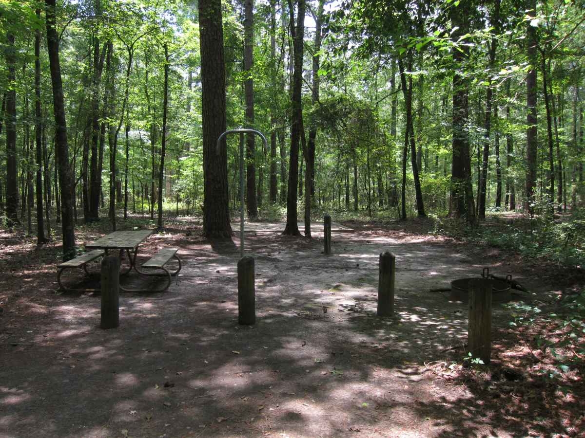 Basic Campsite 57 in the Mill Pond Camping Area. 