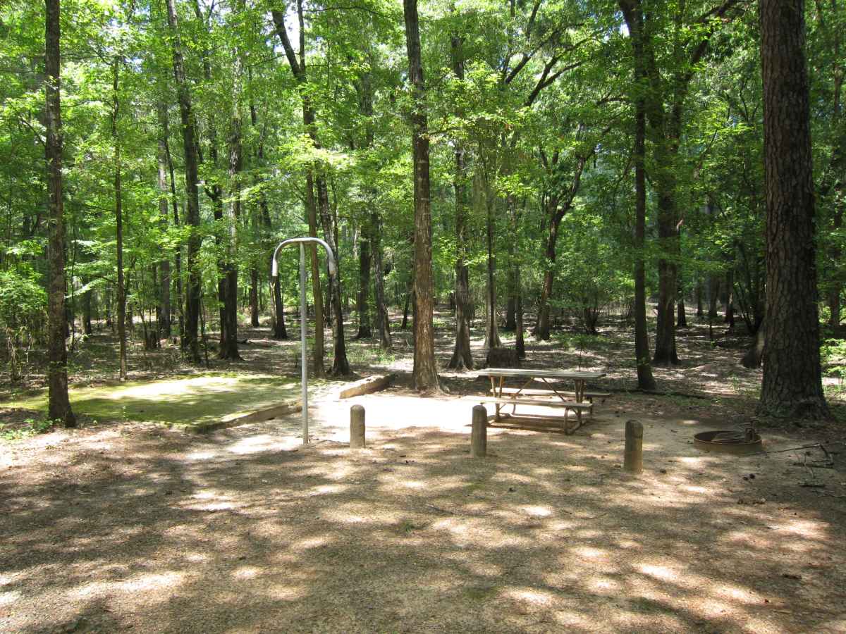 Basic Campsite 61 in the Mill Pond Camping Area. 