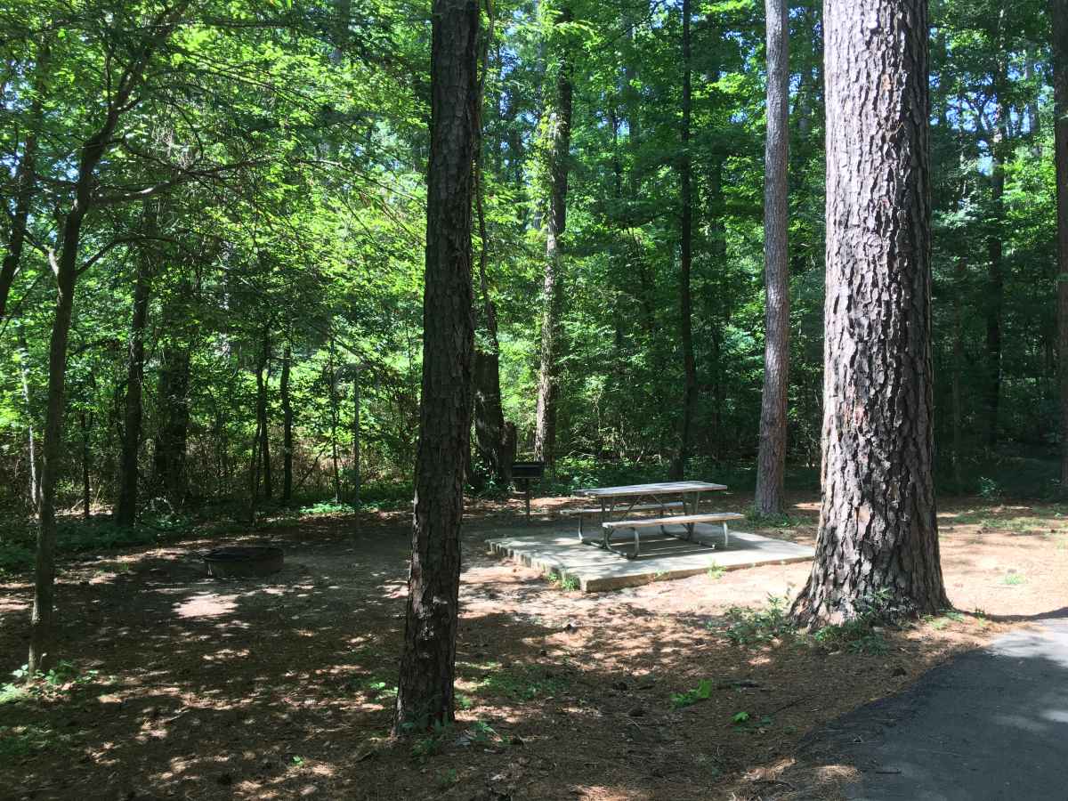 A view of the picnic table at Full Hookup Campsite 20.