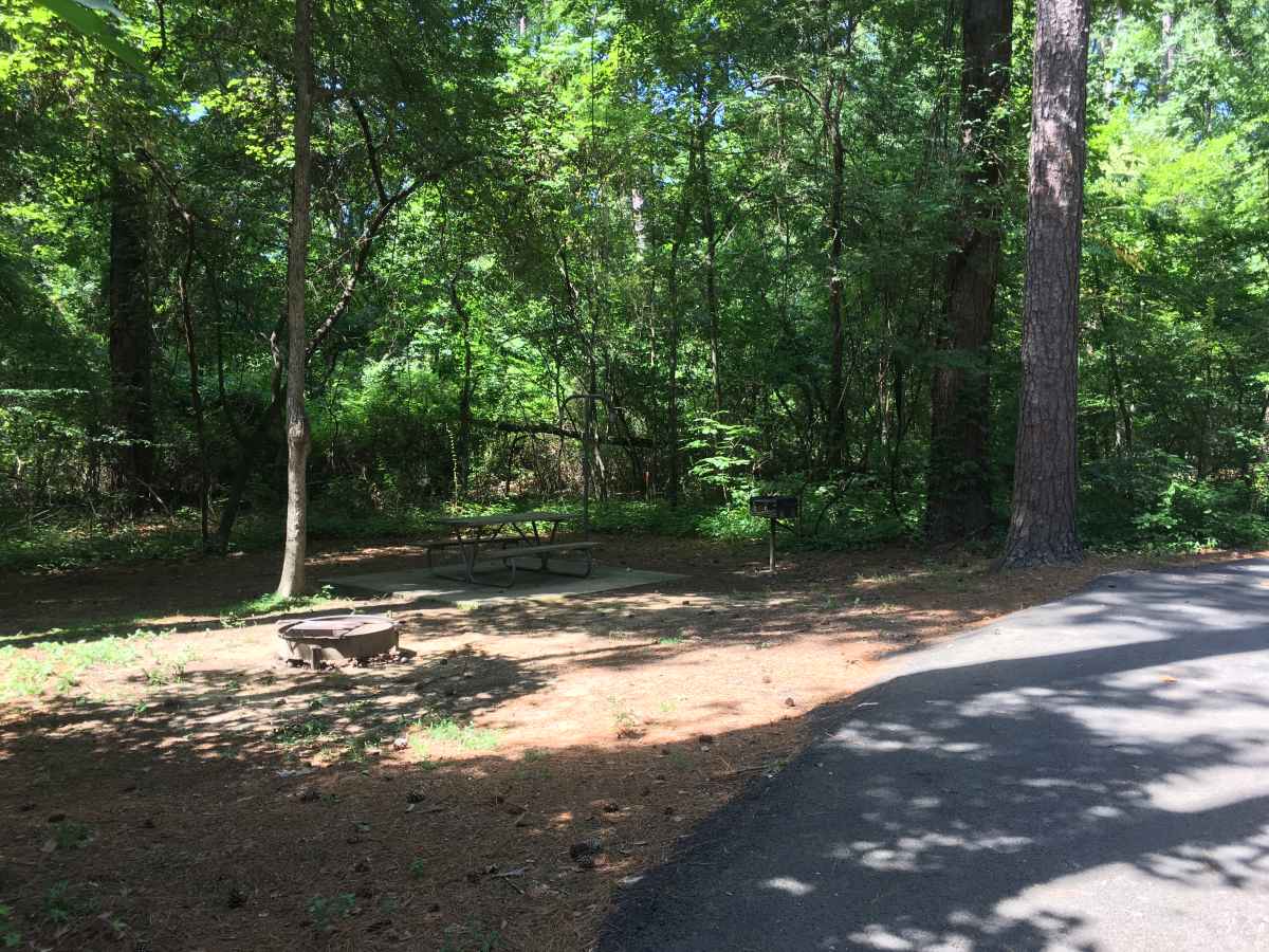 These campsites all have full hookups,  a picnic table, fire ring, and an upright grill.  