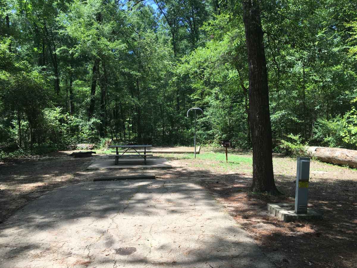 Standard Campsite 43 in the Squirrel Haven Camping Area. 